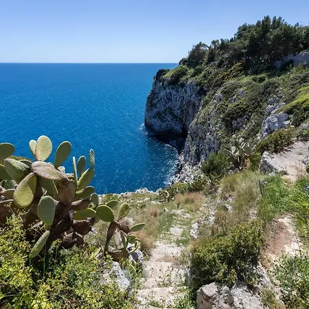 Il Posto Delle Fragole 3*