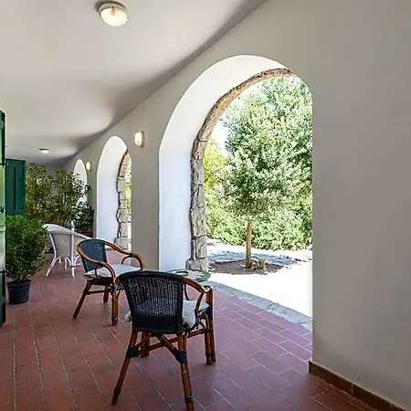 Il Posto Delle Fragole